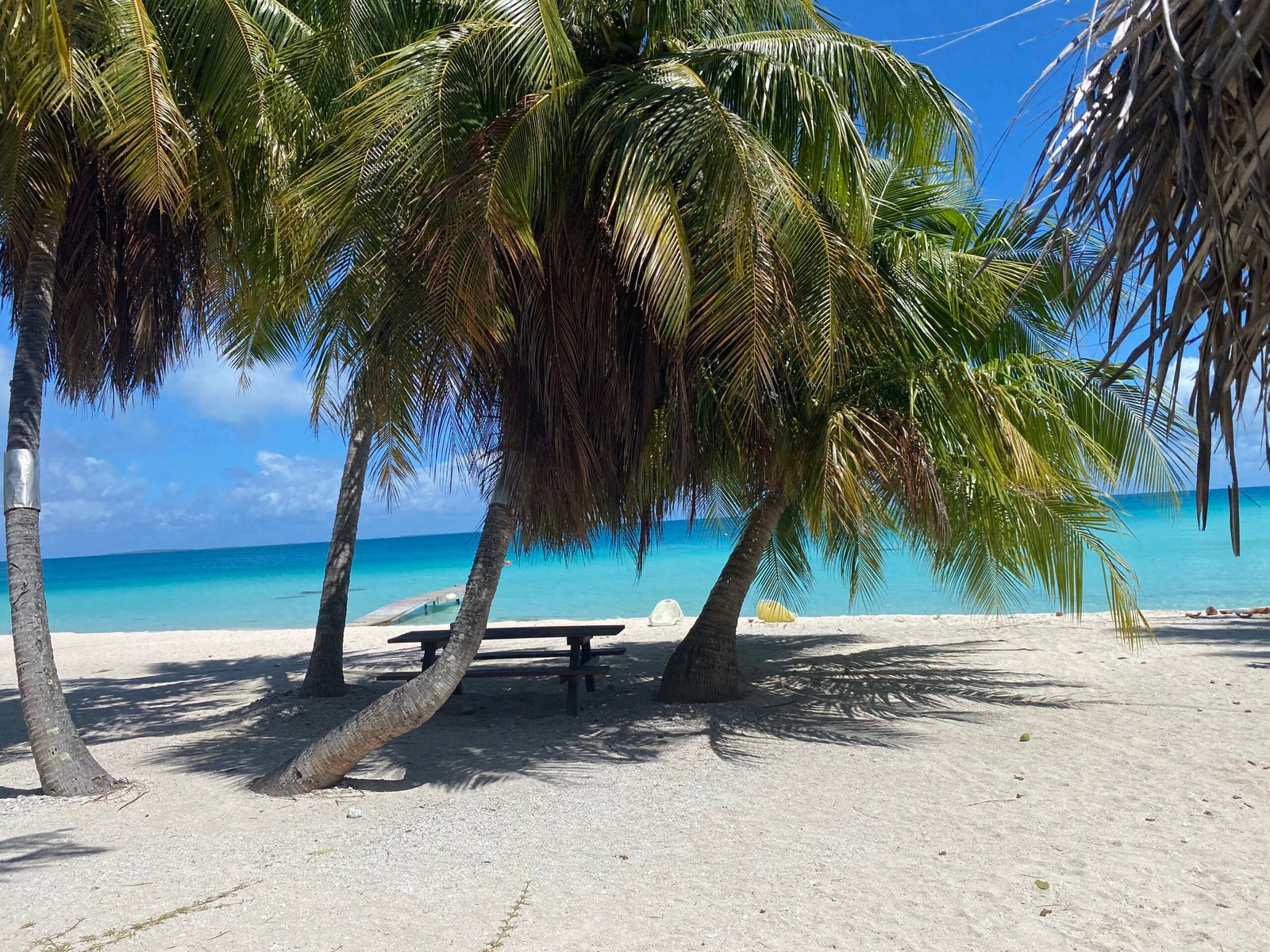 Plage de la pension Hotu à Tikehau en Polynésie