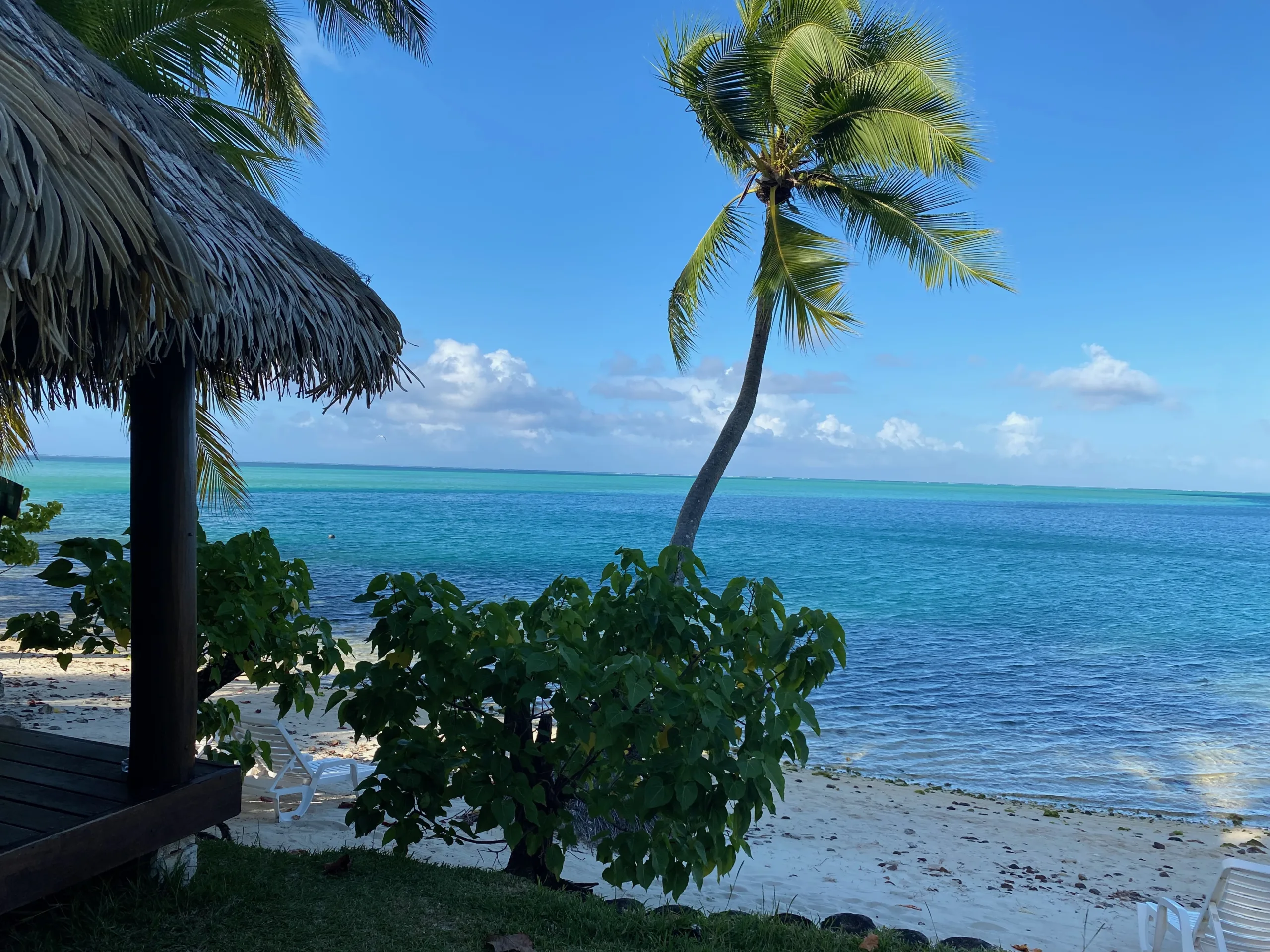 Bungalow au bord du lagon moorea polynesie française
